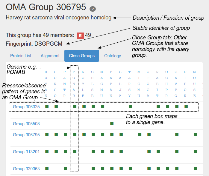 tutorial on close groups