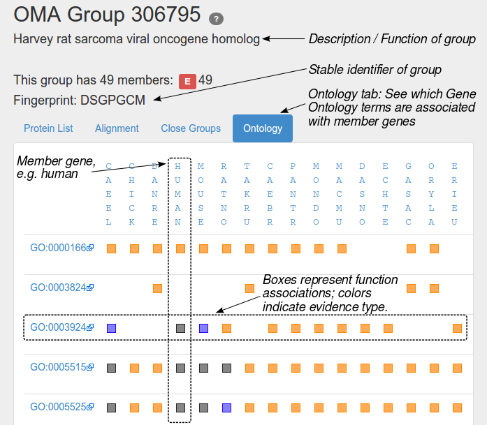 tutorial on ontology tab